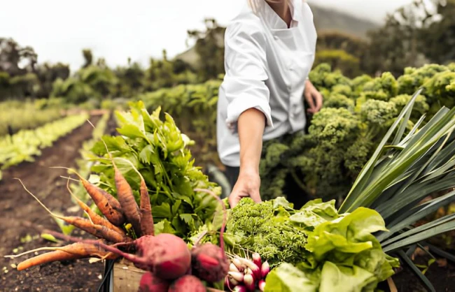 Food Ideas Creation D Identite Culinaire Paris Analyse